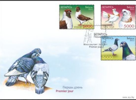 КПД "Голуби", 2011