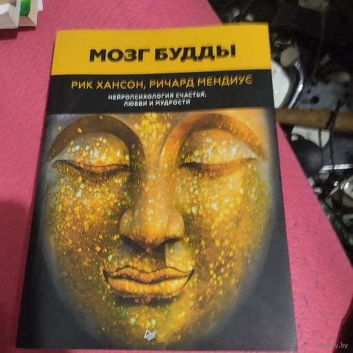 Р.Хансон.Р.Мендиус.    Мозг БУДДЫ.  Нейропсихология счастья,любви и мудрости.
