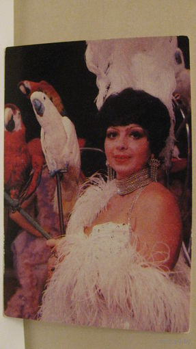 Календарик. Цирк. 1984г.
