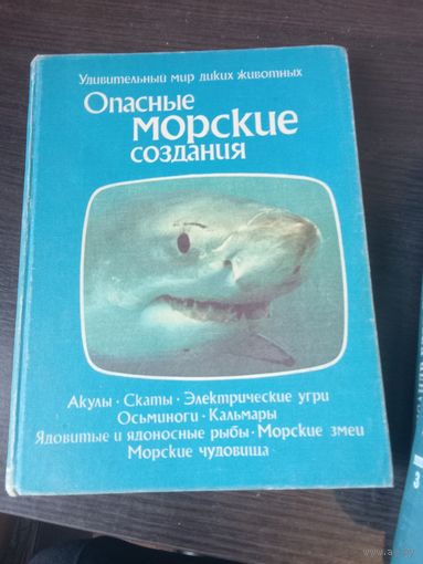 Опасные морские создания