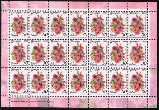 Беларусь. 2008. Стандарт.  Петуния (30р) (з.95-2010) Лист