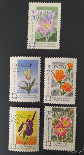 СССР 1960 Флора СССР. 5м.