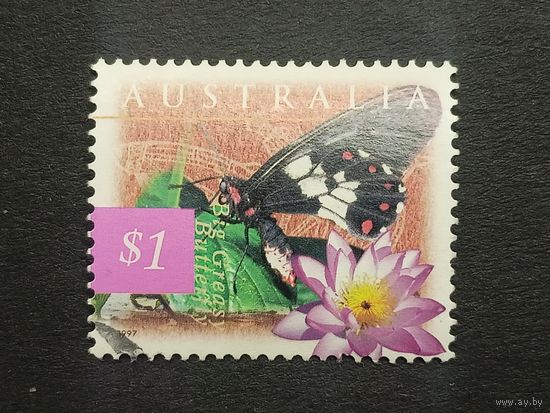 Австралия 1997. Фауна и флора. Чистокрылый махаон и Кувшинка фиолетовая