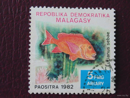 Мадагаскар 1982 г. Морская фауна.