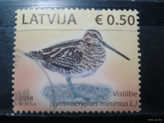 Латвия, 2014. Бекас