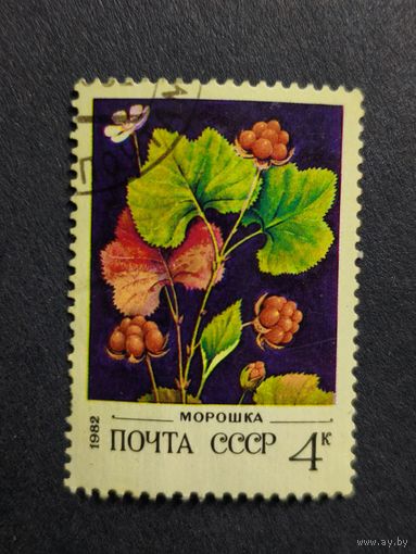 1982 СССР. Дикие ягоды. Морошка обыкновенная