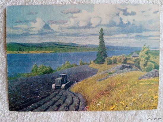 1954. Светличная. Карелия