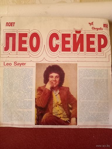 Виниловая пластинка