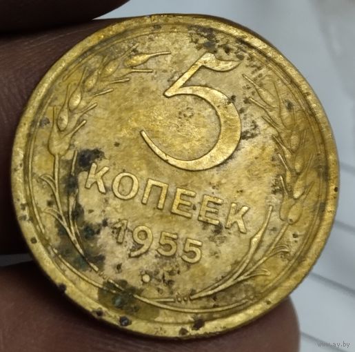 5 копеек 1955