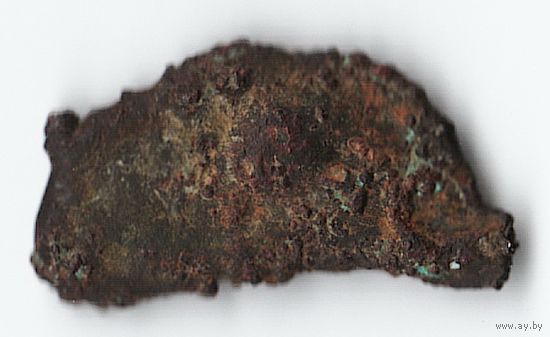 Ольвия Монета-дельфин (1/25 обола.) V-IV век до Н.Э.