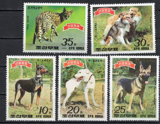 КНДР 1989. Фауна. Собаки, кошки 5 марок (2991)