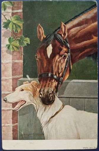 Породистые лошади. Жан Бунгартц. Германия. Начало 20-го века.