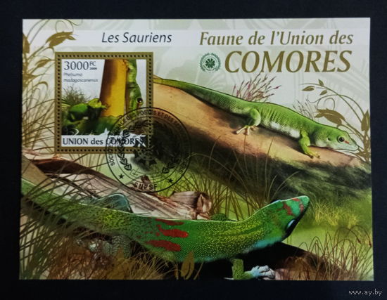 ЛИСТ ФАУНА животные  СТО