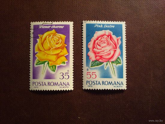Румыния 1970 г.Розы./25а/