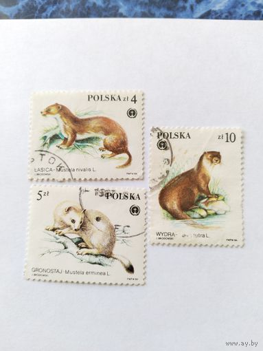 Польша 1984 3 м