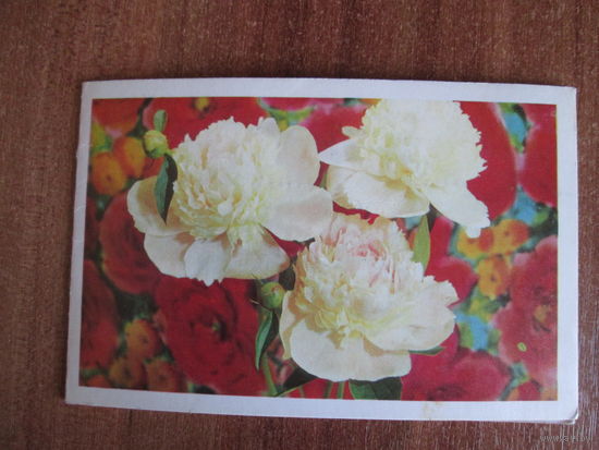 Почтовая карточка.1972г.