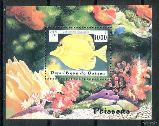 Гвинея - 1997г. - Рыбки - полная серия, MNH [Mi bl. 510] - 1 блок
