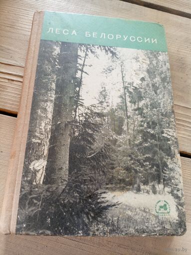 Леса Белоруссии\16д