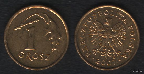 Польша y276 1 грош 2007 год (mw) (_alb2