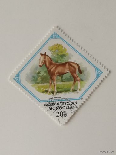 Монголия 1982. Детеныши животных