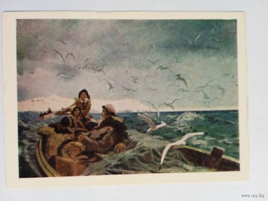 Рыбачук. Друзья моря. Чукотка