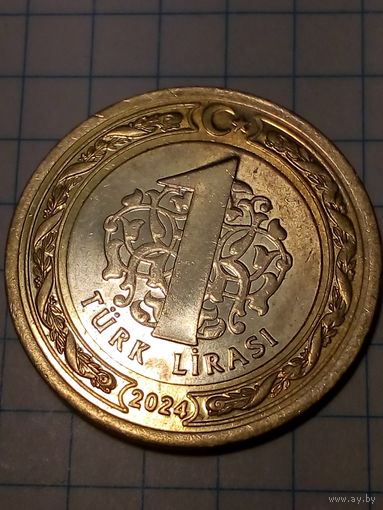 1 лира Турция 2024 год.