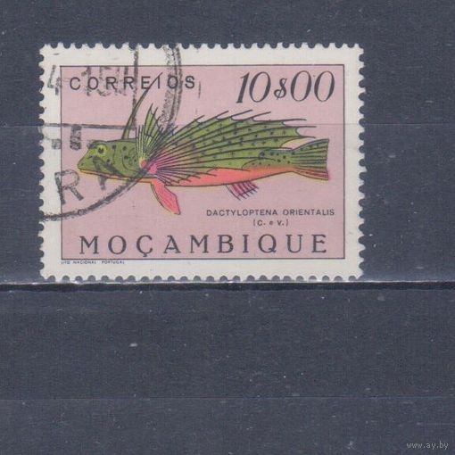 [511] Португальский Мозамбик 1951. Фауна.Рыба.10 э. Гашеная марка.