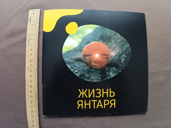 Красочный буклет-книга Жизнь янтаря на русском языке (3691)
