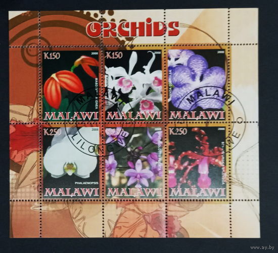 ЛИСТ ФЛОРА ЦВЕТЫ ГРИБЫ  СТО