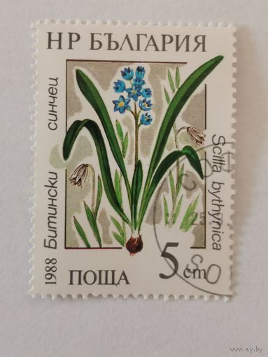 Марка из серии "Водные растения" - Пролеска вифинская (Scilla bythynica)