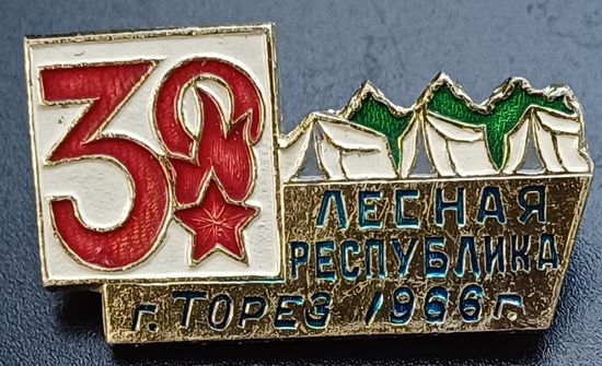 Значок 30лет пионерии