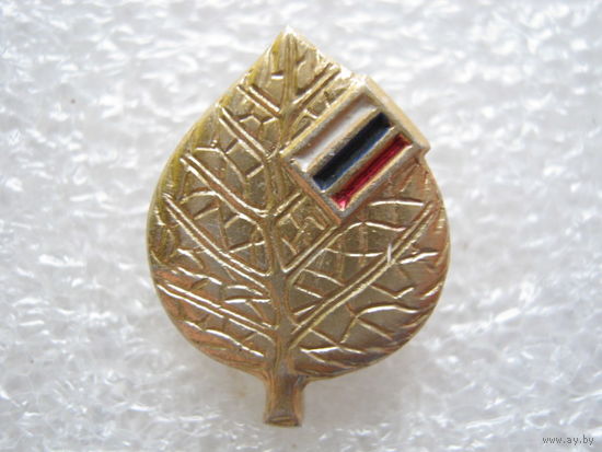 Российский союз молодежи.