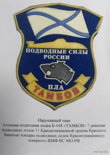АПЛ Тамбов ВМФ РФ