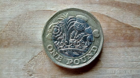 Великобритания. 1 фунт 2017.