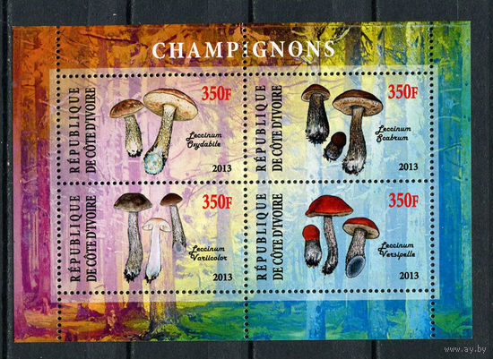 Кот-д 'Ивуар - 2013 - Грибы - 1 блок. MNH.  (LOT De42)