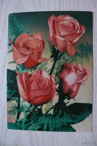 Цветы, розы; 1972, чистая (ГДР).