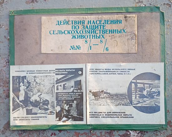 Плакат. Действия населения по защите сельскохозяйственных животных.