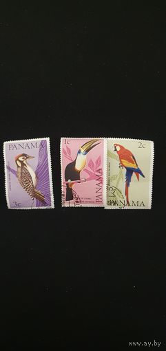 Панама птицы 3шт