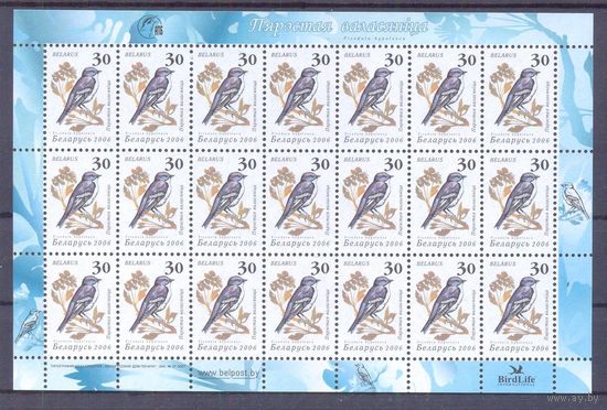 Беларусь 2006 девятый стандарт фауна птицы / 30 / Зак.27-2007