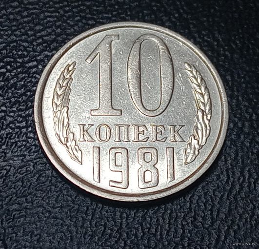10 копеек 1981 Брак, холостое соударение #4