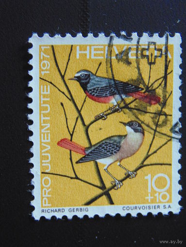 Швейцария 1971 г. Птицы.