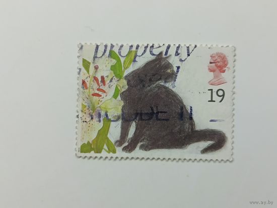 Великобритания 1995. Коты