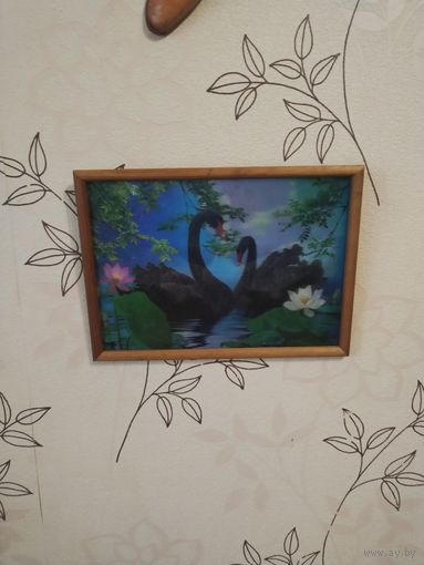 Какаято старая, картина лебедь лебеди,