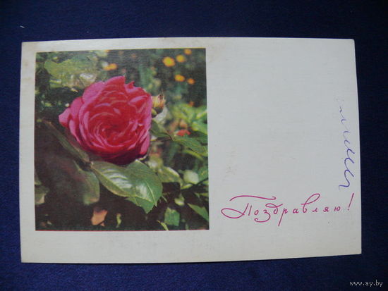 Фото Боровской Т., Поздравляю! 1968, чистая.
