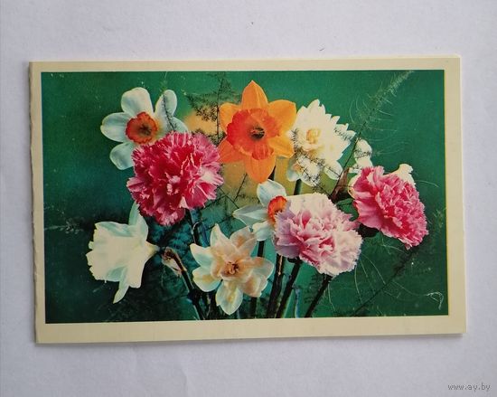 Открытка из СССР, 1977г, подписанная.
