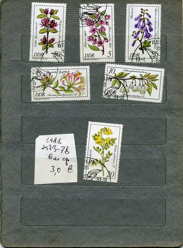ГДР  1981   цветущие кустарники   серия  6м  (на "СКАНЕ" справочно приведены номера и цены по Michel)