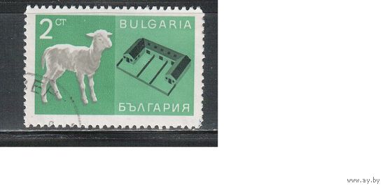 Болгария-1967, (Мих.1726) , гаш   , Овечка (полная серия)