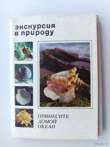 Экскурсия в природу. Принеси домой океан. Набор открыток 1974 года. ( 25 шт. ) Н-11.