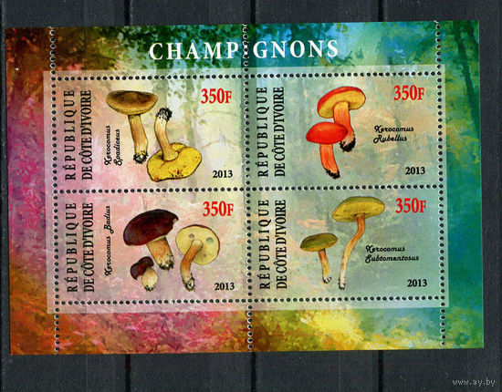 Кот-д 'Ивуар - 2013 - Грибы - 1 блок. MNH.  (LOT De43)