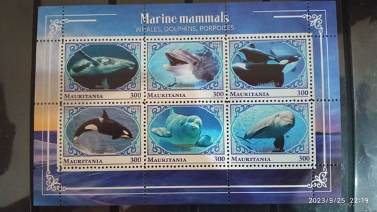 Блок рыбы фауна морская жизнь  MNH